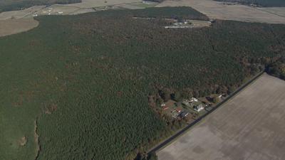 The Leaves on Delmarva are Changing Slowly but Surely