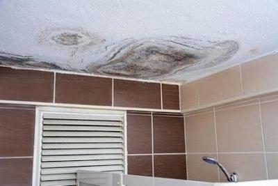 The Hidden Signs of Black Mold Every St. Louis Homeowner Should Know
