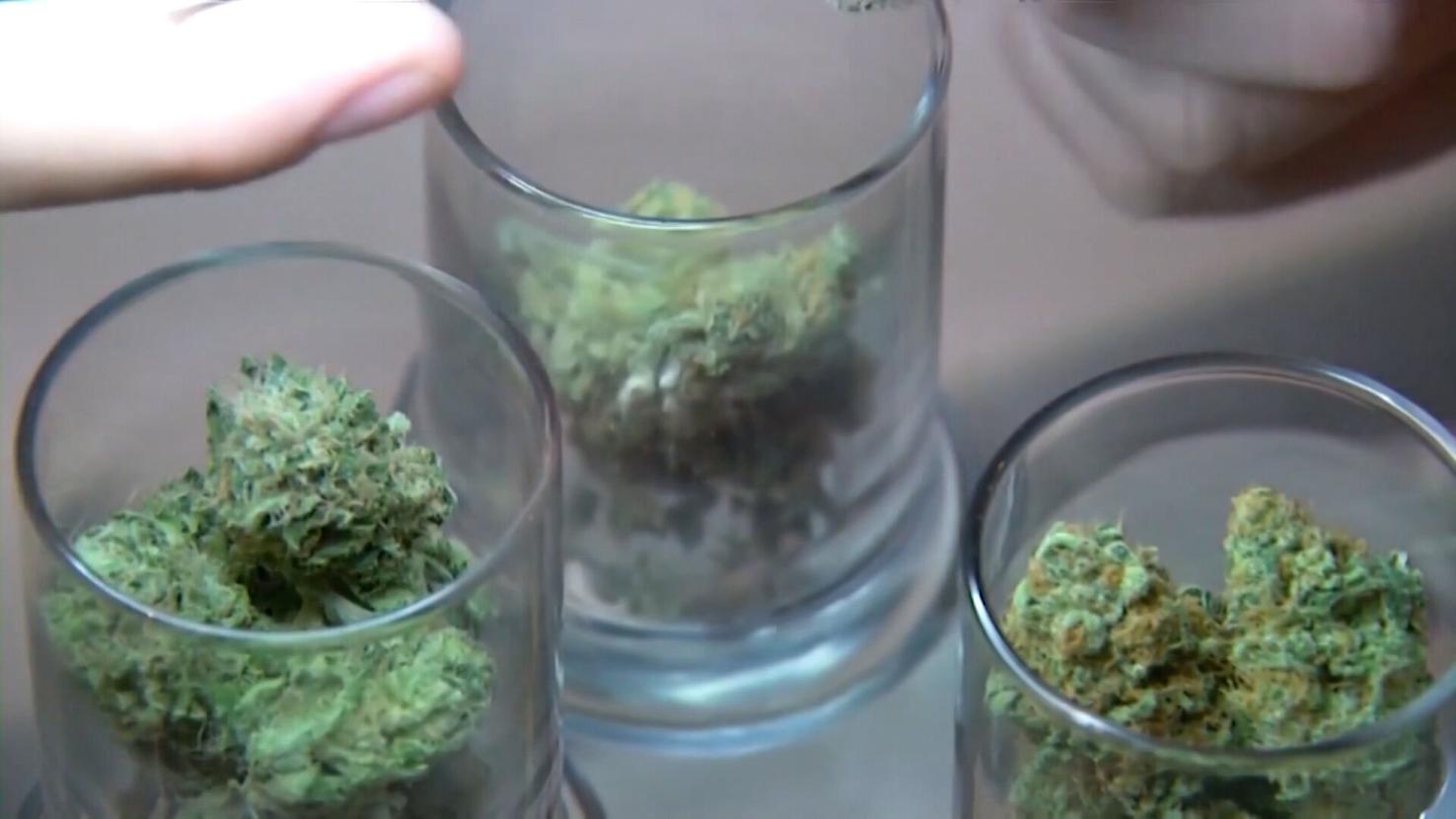 Dover Advances MarijuanaRelated Business Rules Ahead of December