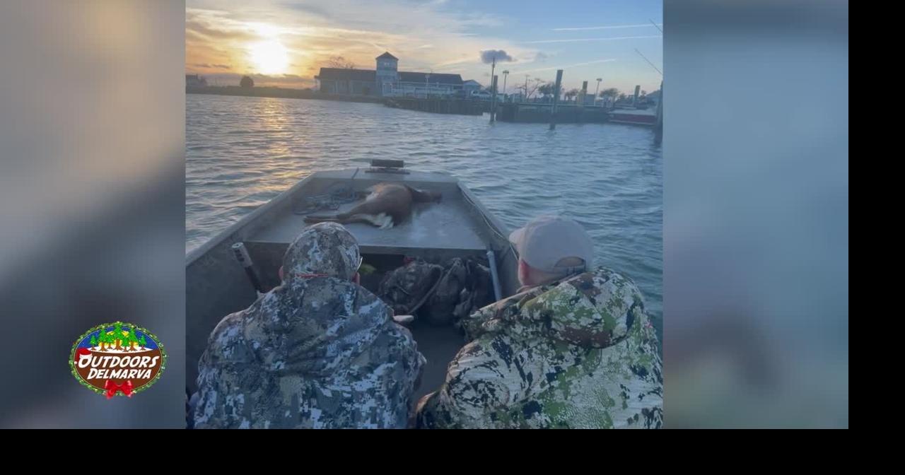 Sika deer hunt at the Riverside Lodge on Hoopers Island Outdoors