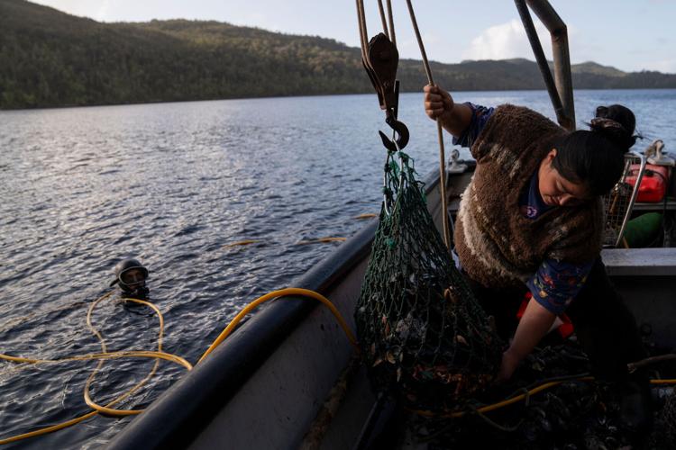 APTOPIX Chile Salmon Farms