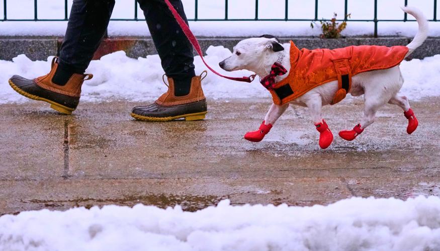 Winter Weather New Hampshire