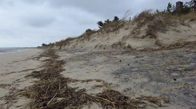 Lewes Beach Erosion