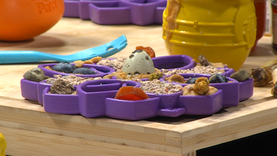 Fur Baby Pet Resorts