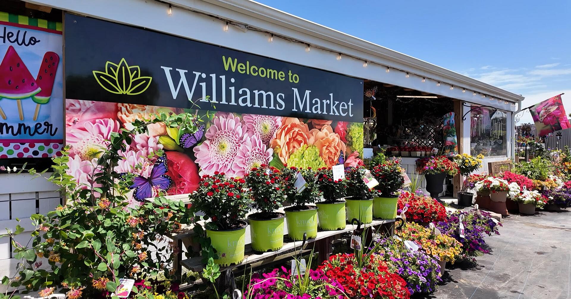 Flower Basket Bandits hit one Wicomico County Business Twice in One Week - Vimarsana News