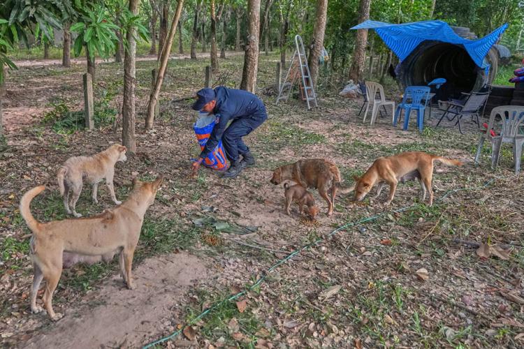 Thailand Village Guards
