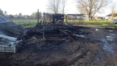 19 Dogs Die in Cambridge Kennel Fire