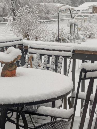 Pam Costa Felton.jpg