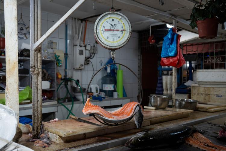 Chile Salmon Farms