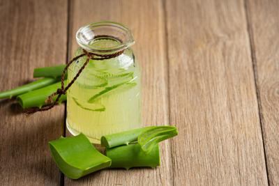 Aloe Arborescens Announces New Initiatives Within Its Ongoing Botanical Formulation Research Program