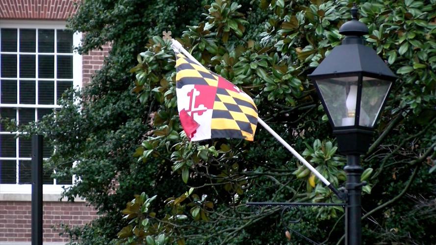 Maryland Flag