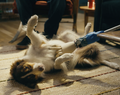 Dog Breath gets a Mintervention from Minties FreshBites.