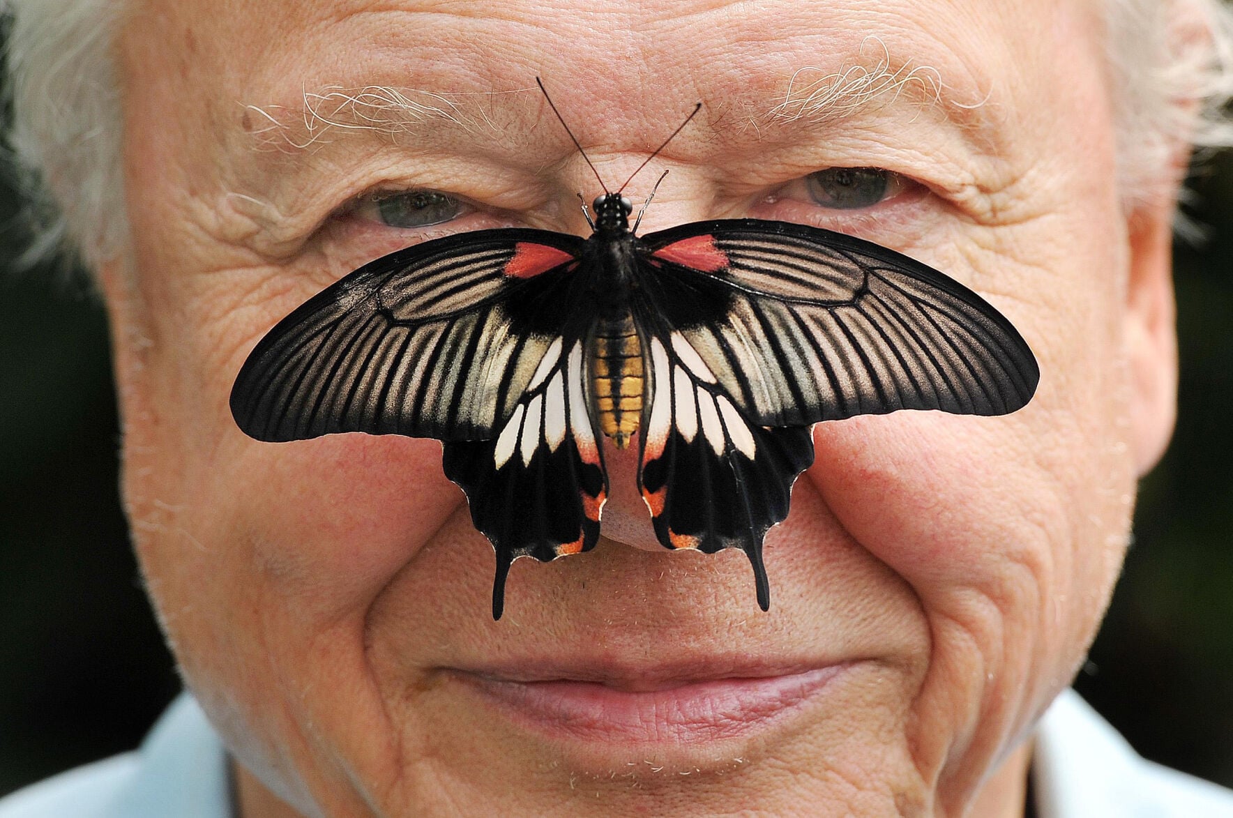Britain Attenborough 100th Birthday