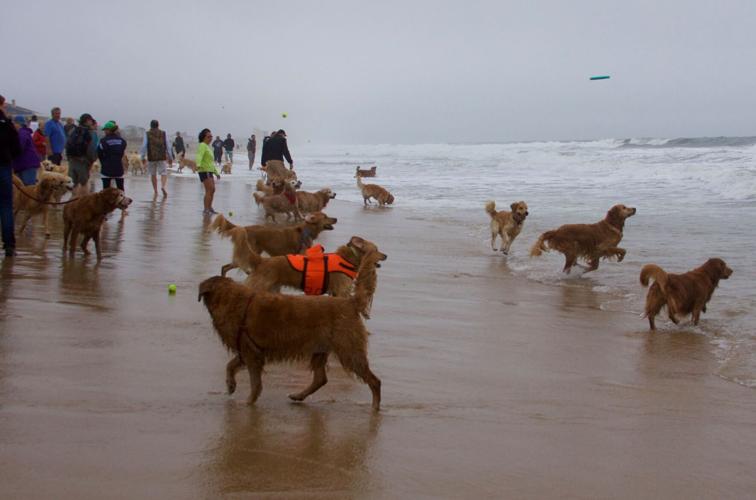 14524394_648591778647873_2420990636012178371_o