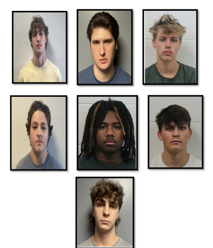 Salisbury Hate Crime Suspects