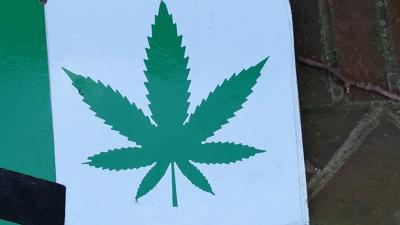 Marijuana bill