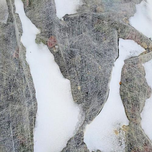 15873454_10155098243324728_3985063038253476055_n