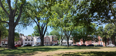 Dover Green