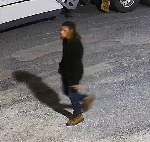 princess anne burglary