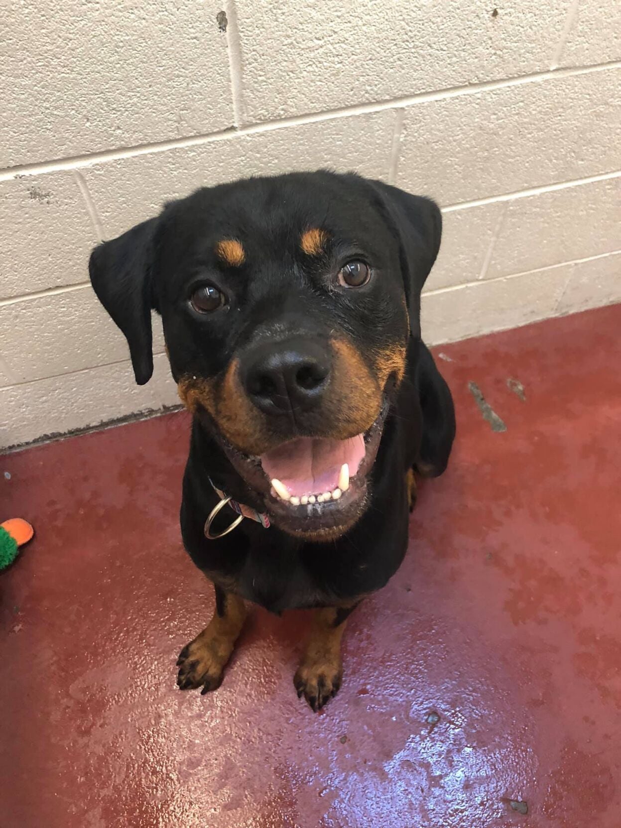 118817604_10224674876524820_3164187096627742301_o