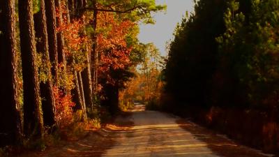 Travels With Charlie: “Fall Has Countless Faces”