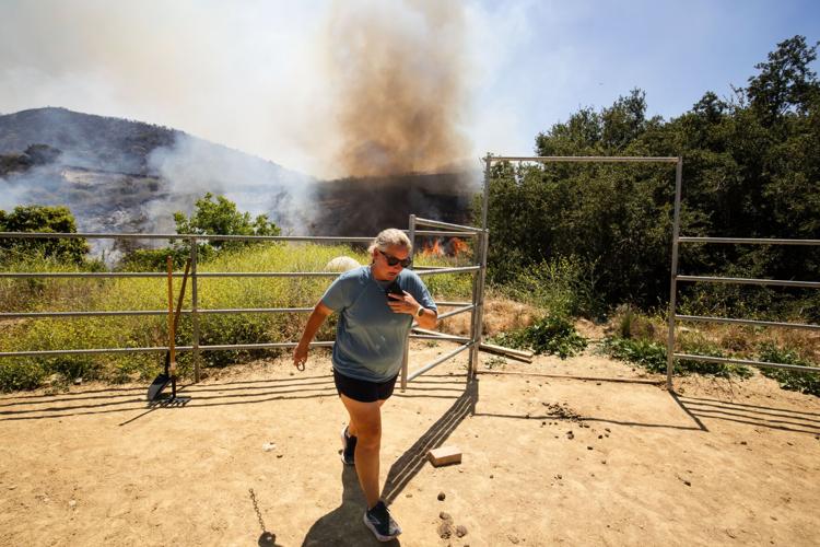 Climate Wildfires Smog Levels