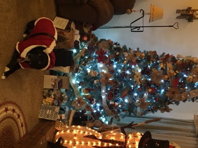 Ronna and Jesse Cobb Selbyville Delaware