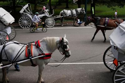 NYC Horse Carriages
