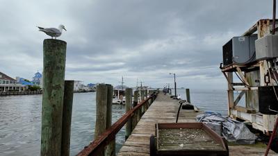 West Ocean City Harbor Pier