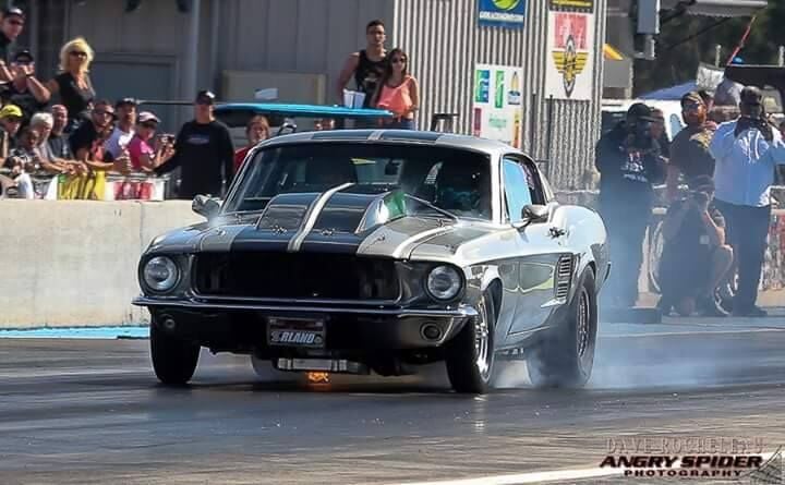 12421279_954087821295584_668071128_n