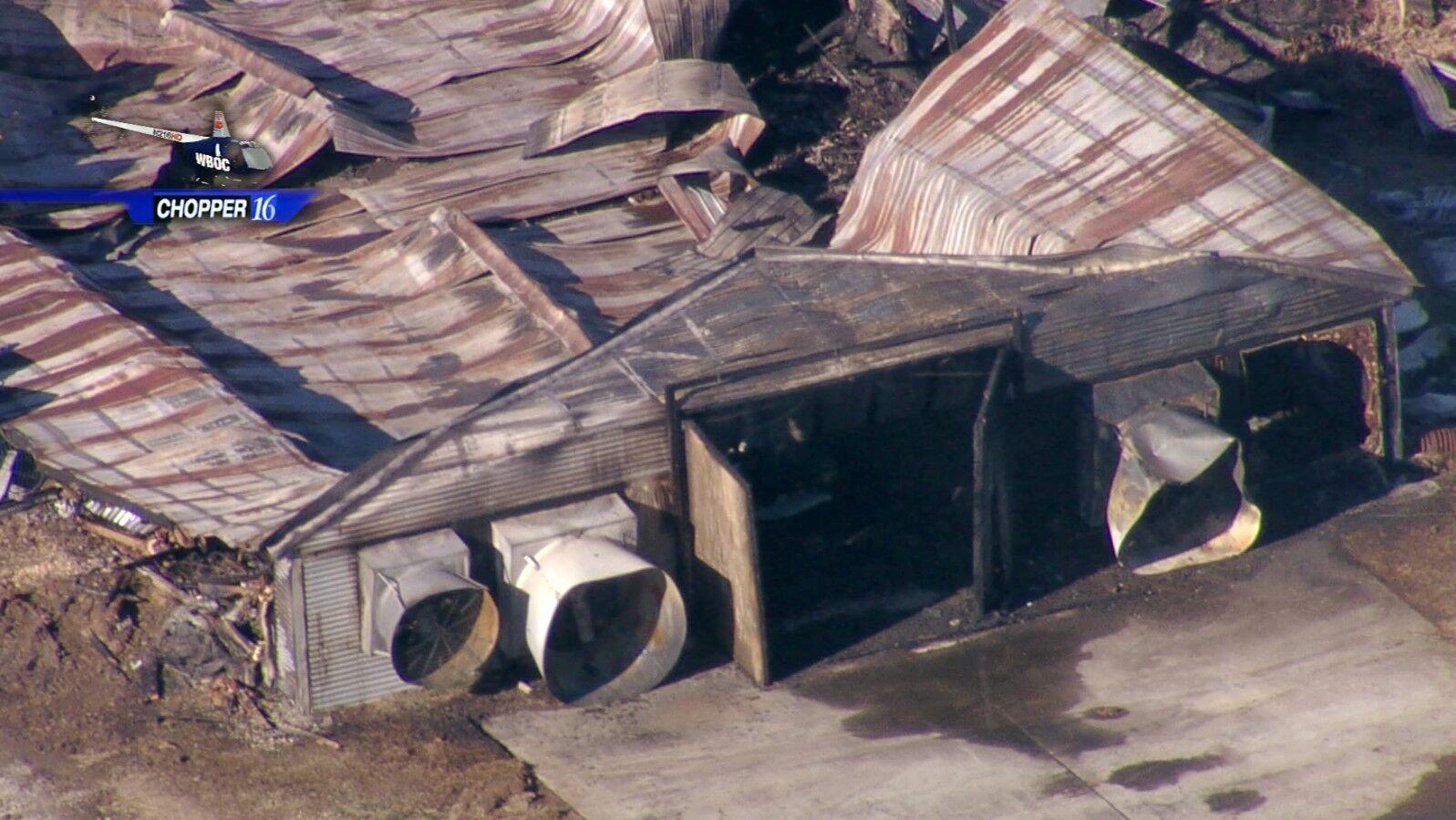 Full Chicken House Catches Fire in City Latest News