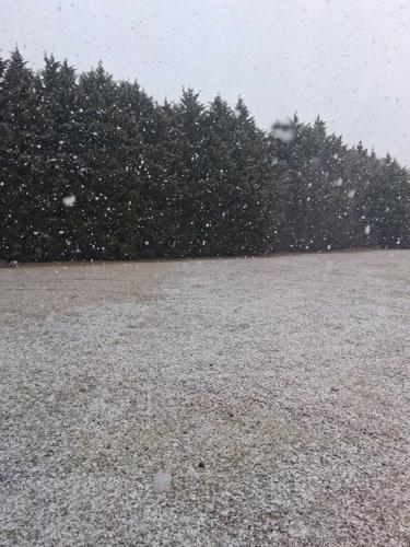 Logan Abbot Cecil - Harrington, Del.