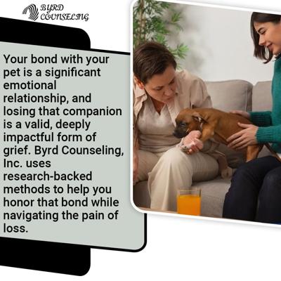 Pet Bereavement Insights: Research Highlights Emotional Impact and Support Needs
