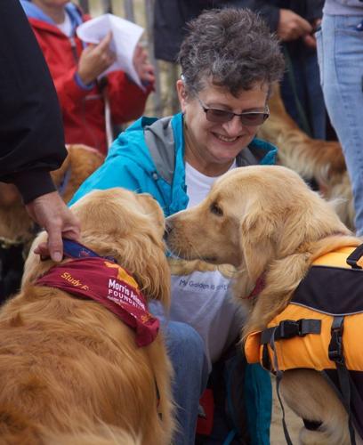 14525140_648615915312126_4344134366533379352_o