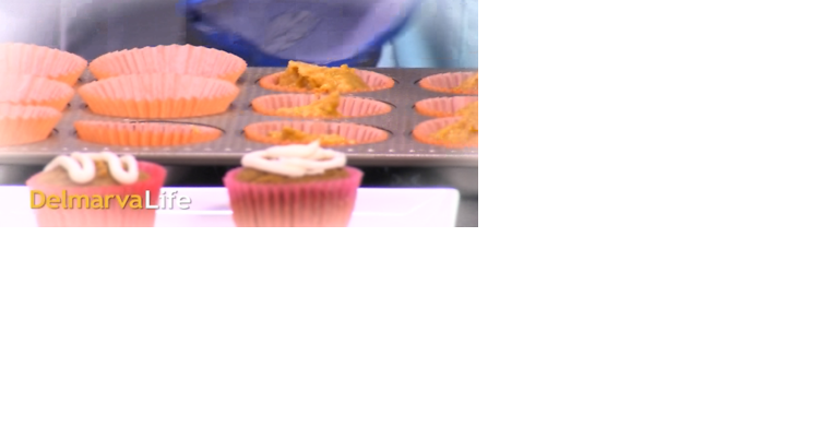 Steve-O's Punkin' Cupcakes | Delmarvalife - Vimarsana News