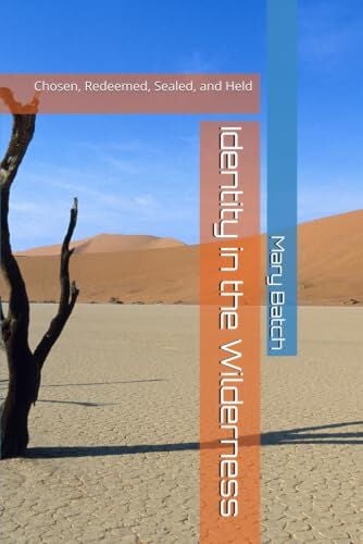 Identity in the Wilderness Explores Faith, Healing, and Christ-Centered Identity in Seasons of Suffering