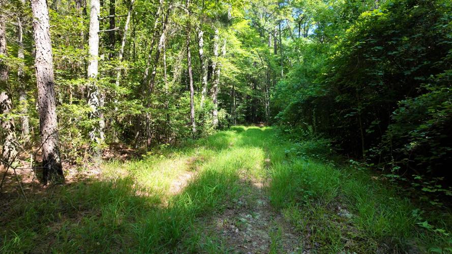 Blue Bike Trail