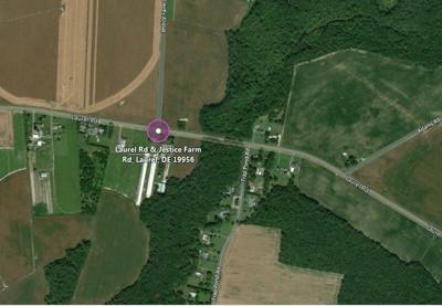 Laurel Man Killed in Crash