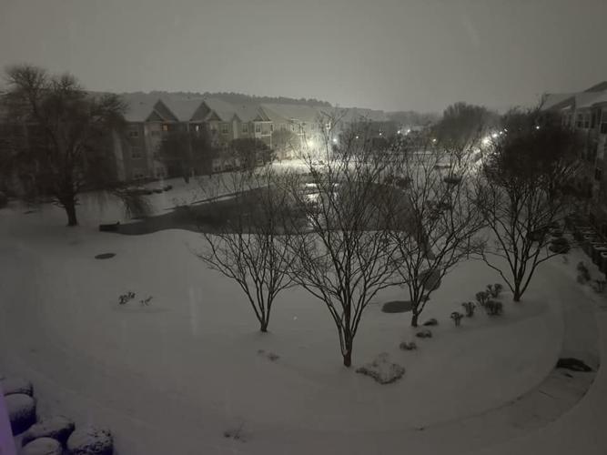 Anine Nguyen Barber Salisbury.jpg