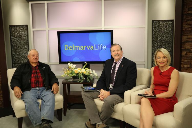 Mt. Hermon Plow Days