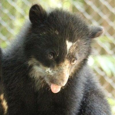 132592511_3923043427706439_5613946043035115288_n