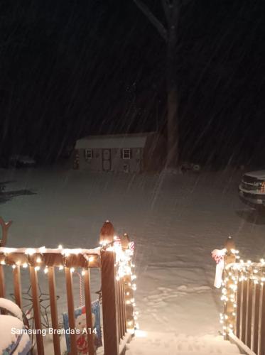 Brenda Tucker Laurel.jpg