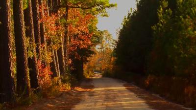 Travels With Charlie: Fall Has Countless Faces