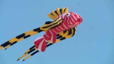 Sunfest Kite Festival Fills Ocean City with Color