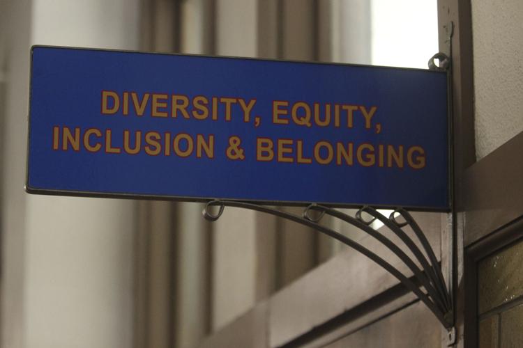 Diversity Bans States Explainer
