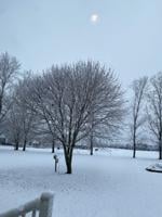 Carole Swinski Centreville.jpg