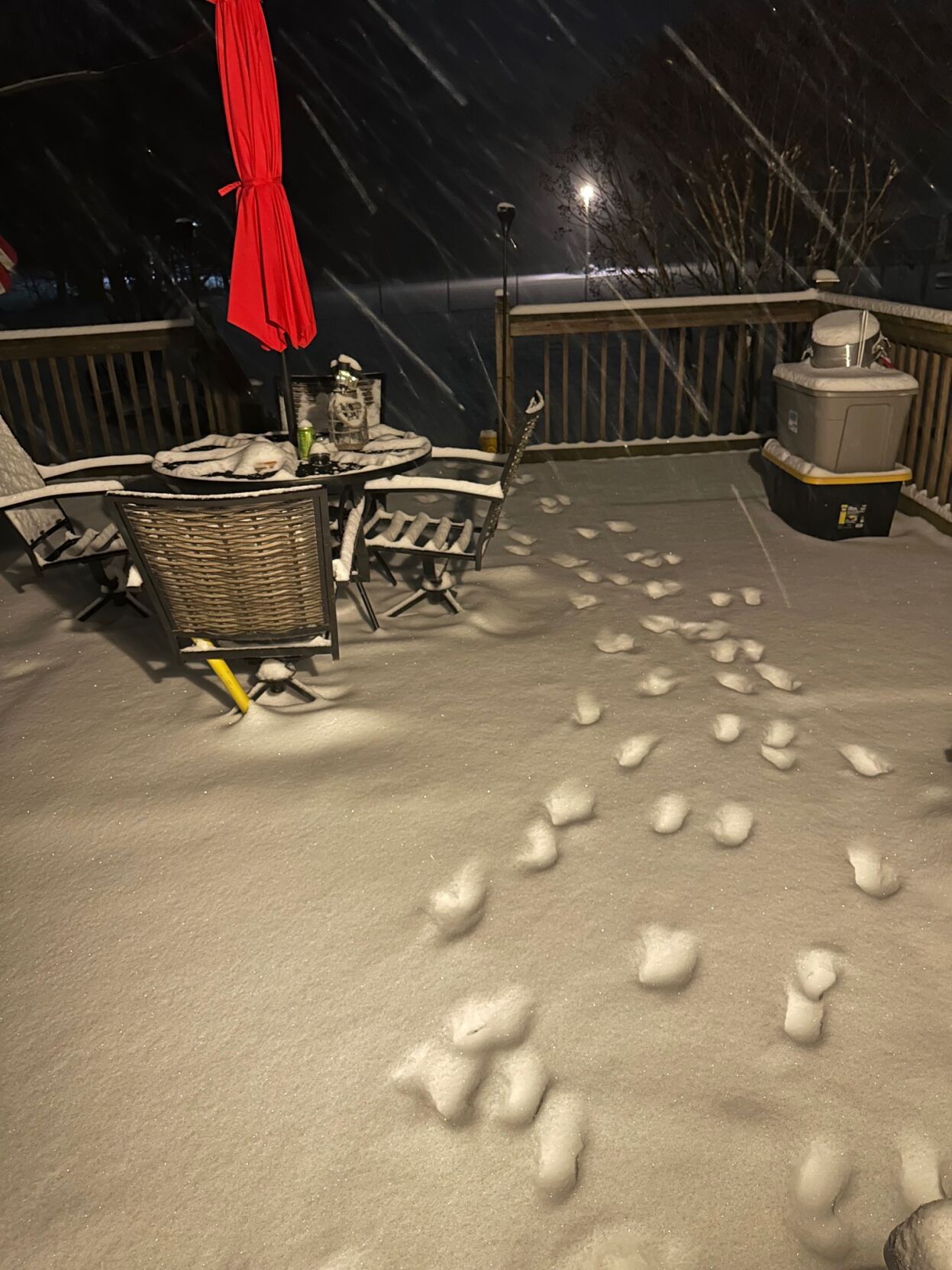 Chris Kanarr Hurlock.jpeg