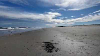 Assateague Island Public Beach