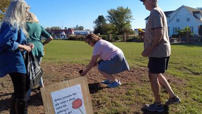 People laying down flowers on a dirt patch where a former tree used to be