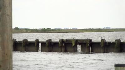 Elliott Island Wooden Jetty